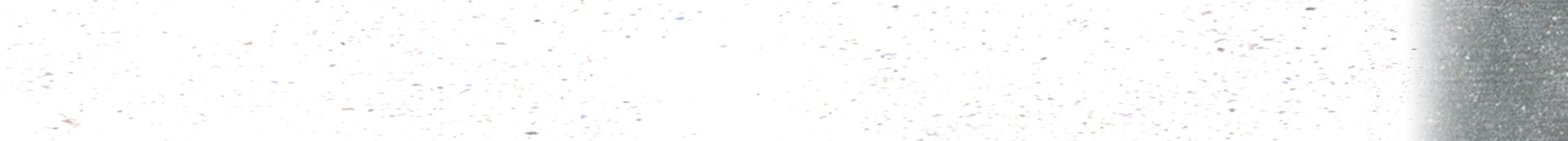 インタビューリレー 2nd RUN-long